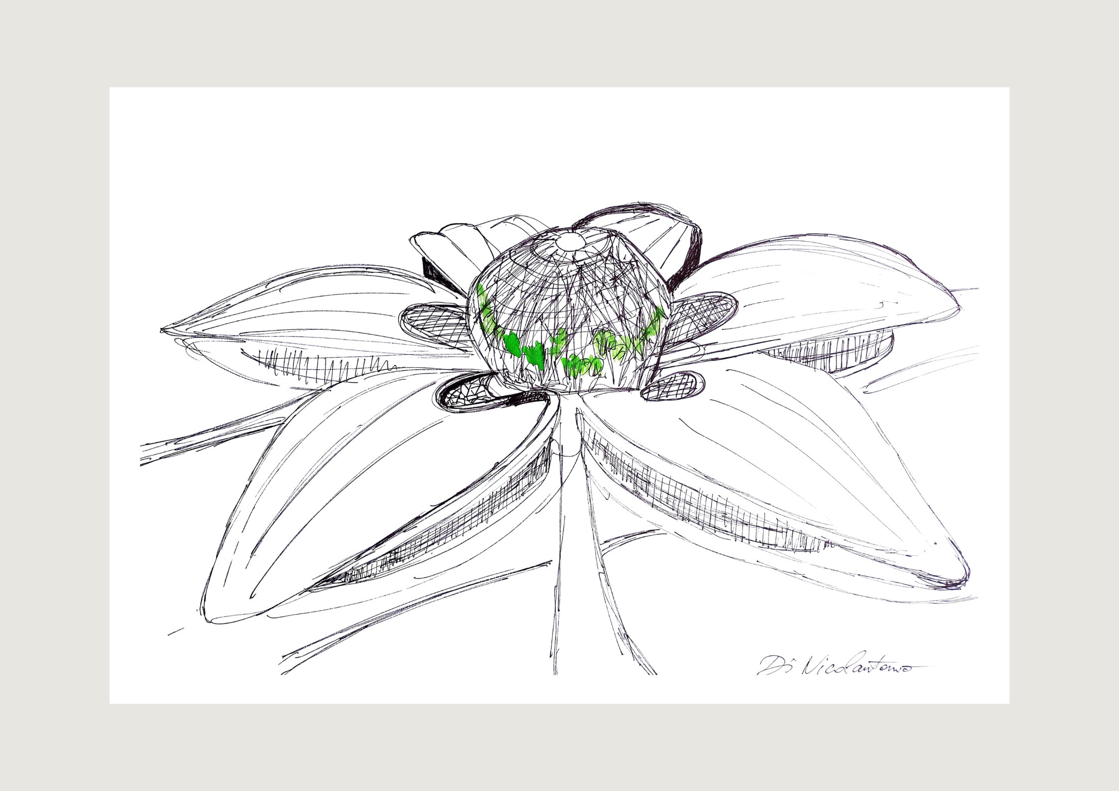 Botanica III — Pistil